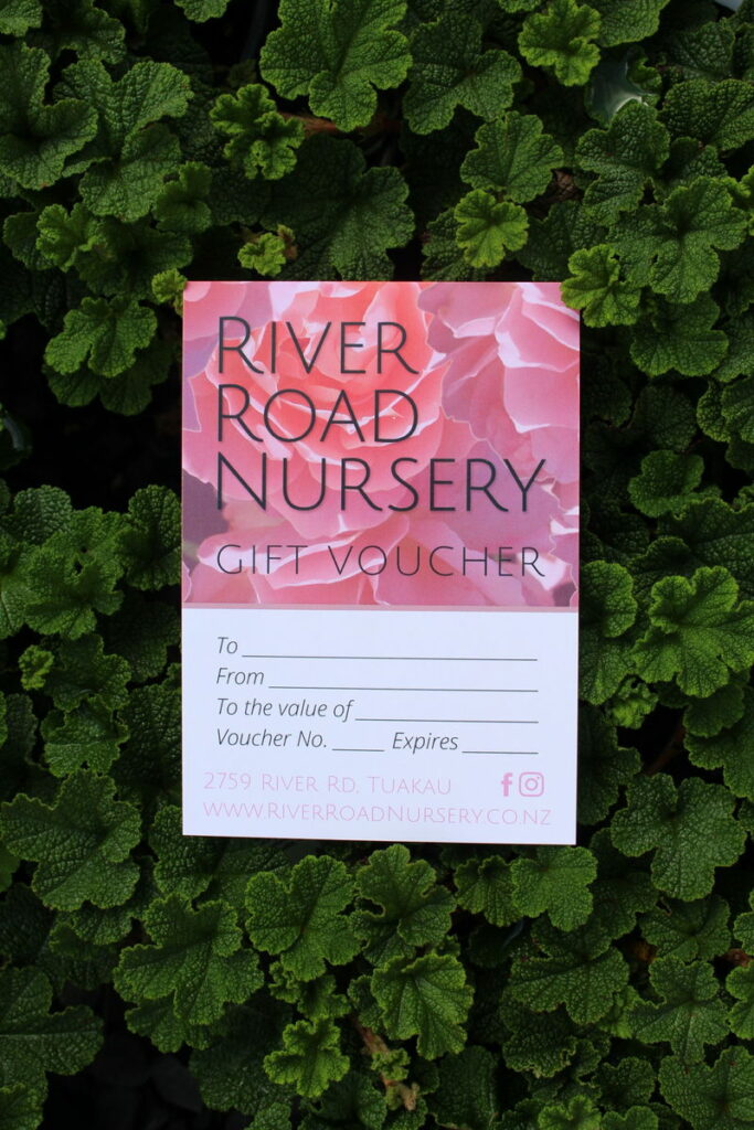 Gift Vouchers River Road Nursery