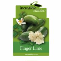 Citrus Finger Lime