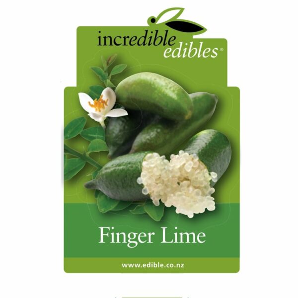 Citrus Finger Lime